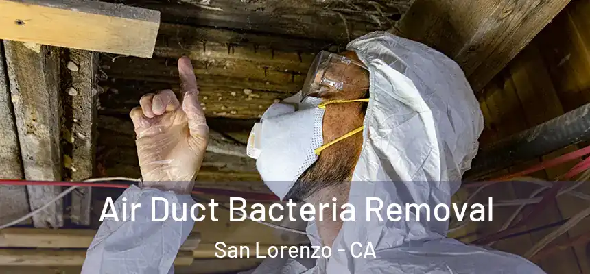  Air Duct Bacteria Removal San Lorenzo - CA