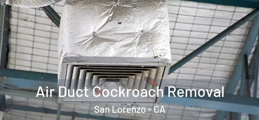 Air Duct Cockroach Removal San Lorenzo - CA