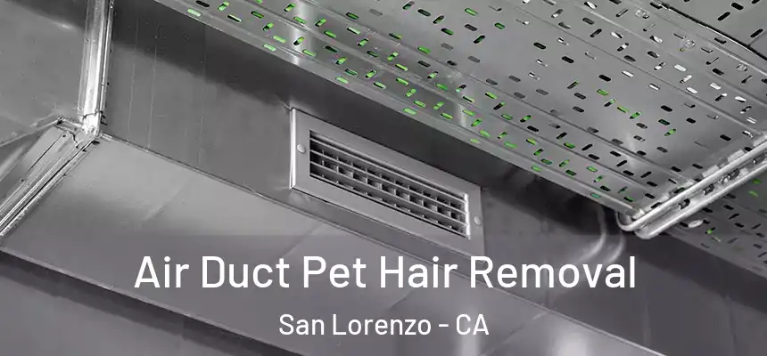  Air Duct Pet Hair Removal San Lorenzo - CA
