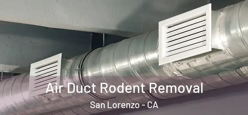  Air Duct Rodent Removal San Lorenzo - CA