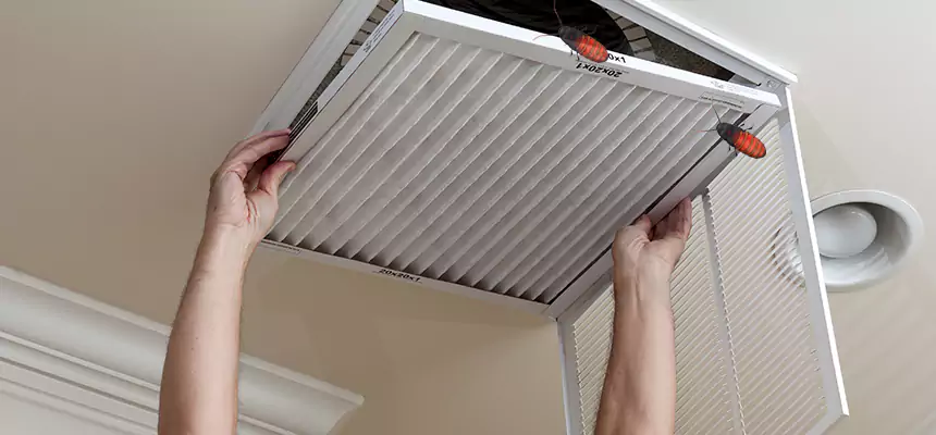 Preventive Cockroach-Proofing for Ducts in San Lorenzo
