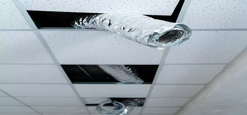 Our Air Duct Pet Hair Removal Services in San Lorenzo, CA