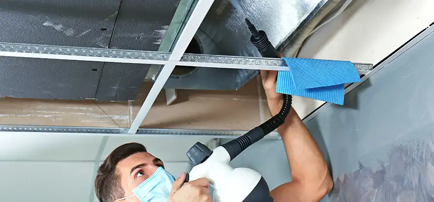 Our Air Duct Rodent Removal Services in San Lorenzo, CA