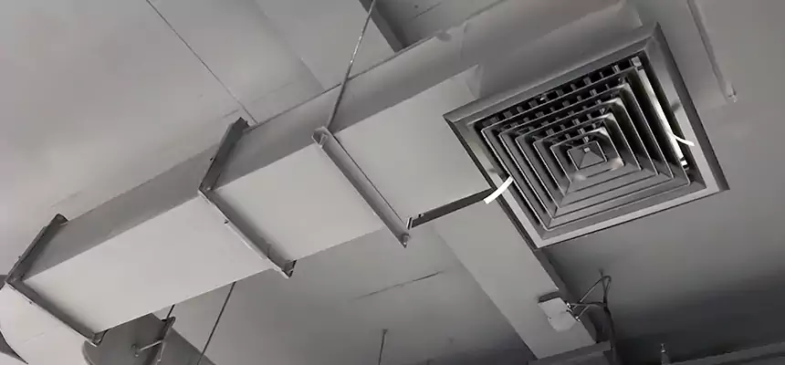 Restorative Allergy Relief Vent Cleaning – Coil, Blower & Housing Detail in San Lorenzo