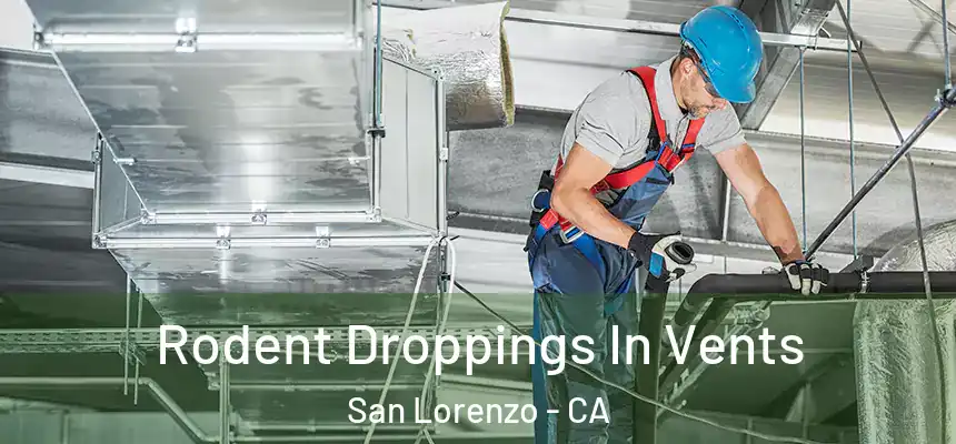  Rodent Droppings In Vents San Lorenzo - CA