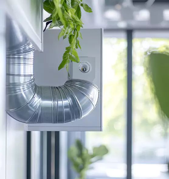 Professional Eco-Friendly Duct Cleaning Services in San Lorenzo, CA