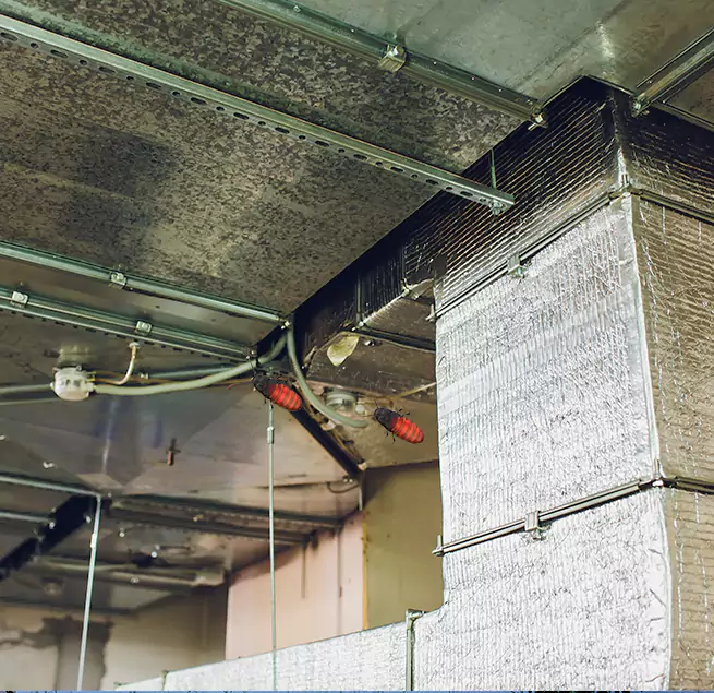 Why Homeowners & Businesses Trust Us San Lorenzo, CA?