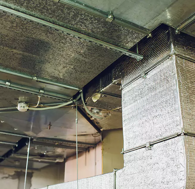 Why Homeowners & Businesses Trust Us in San Lorenzo, CA?